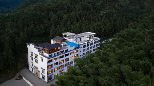 漫谷隱廬·文化藝術度假民宿（涇縣中國宣紙文化園店） - Wi-Fi