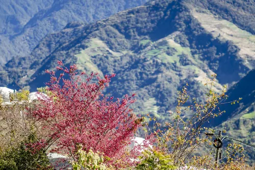 Water Swing B&B Hotels in Nantou