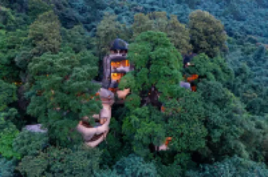 九州宿場(英徳天門溝宿場樹屋村)