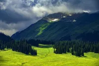Naluwan Homestay (Nalati Grassland Branch)