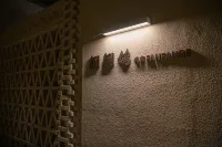 Turks Flip Pigeon Homestay