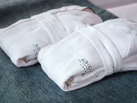 Abion Villa Suites Hotels in Moabit