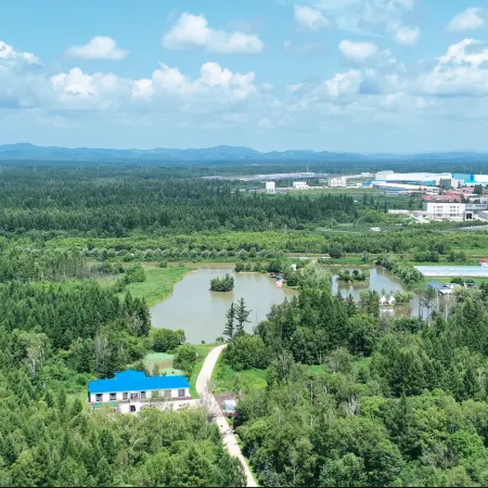 Beichi Small Forest Campsite