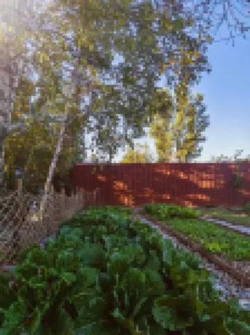 Changbaishan Xishe  （Wabi-Sabi Mid-Century Design Family Courtyard）