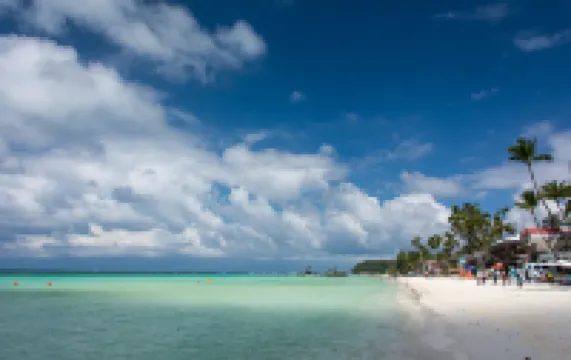 Super diving and tinas reef divers