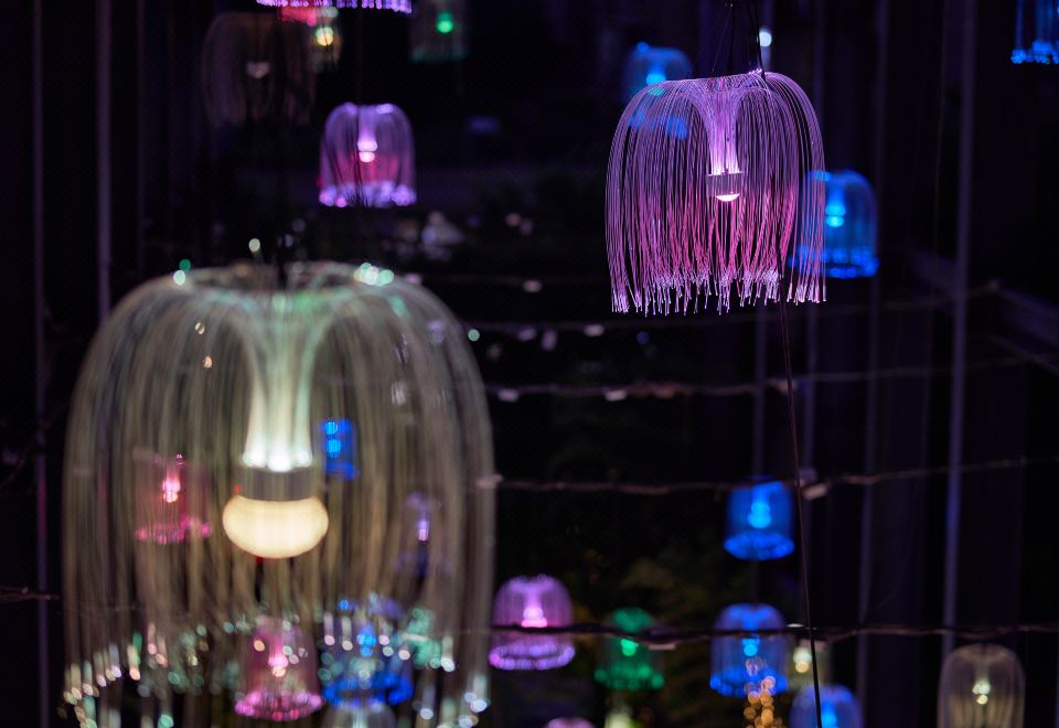 3. 치어리 캐널 호..