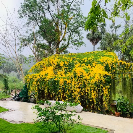Suan Lung Rin Resort Cha Am