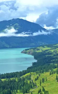 Mountain Clouds Remain - Cloudwild Luxury Glamping Homestay Отели рядом с достопримечательностью «Студия рыбы»