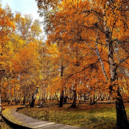 Huaxin Holiday Hotel (Habahe Minzhu Road)