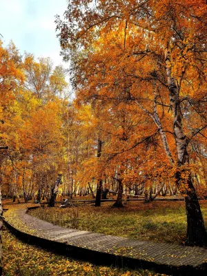 Huaxin Holiday Hotel (Habahe Minzhu Road) Hotels in Habahe