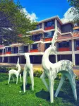 Purple Sun Hotel & Serviced Apartment - Condos