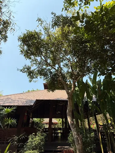 รูปภาพของบ้านกระทิง ปาย รีสอร์ท