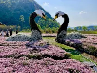 July Wild Luxury Resort · Puzhehei - Mountain view