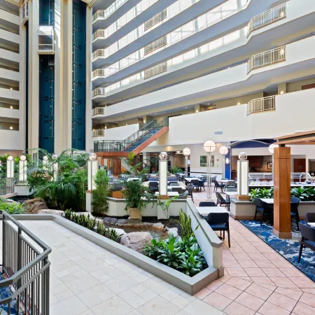 Embassy Suites by Hilton Tampa USF Near Busch Gardens Отели рядом с достопримечательностью «Зоопарк Лоури»