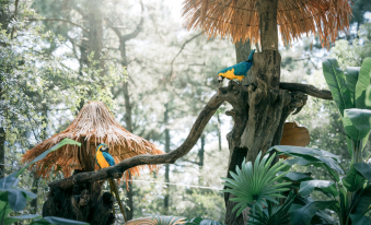 Changzhou Maoshan Forest World Camping Base