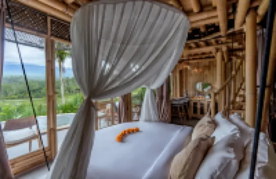 Jiva Bali – Inaya
