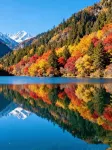 林澗·溪舍·Forest Stream·Private（九寨溝風景區店） - 新開幕