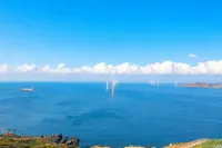 Bonjour - Scenic