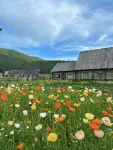 Shanye Jirai · Bonfire Party · Panoramic Designer Homestay (Kanas Scenic Area Branch)