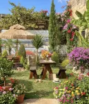 Wild Luxury Hotel Hotels in 