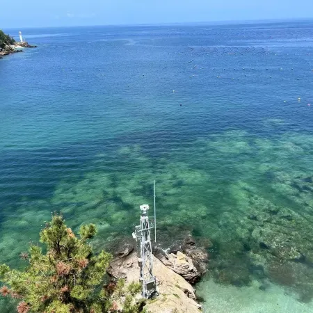 Island Art Villa Homestay