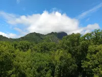Nanxi River · No. 9 Beach Forest Resort Homestay - Ramah Hewan Peliharaan