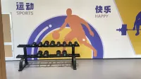 浪棲湾リゾート民宿（陵水富力海洋文化城） - ジム