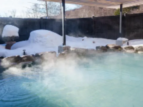 亀の井ホテル 奥日光湯元 日光のホテル