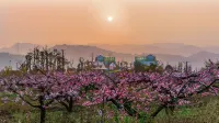 Yuejian Yunshan Homestay, Chengdu Hotels in Chengdu