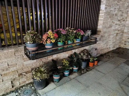 Moon Island Beach Seaview Holiday Villa