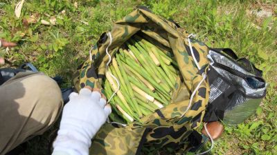 料理 苗場プリンスホテルの写真