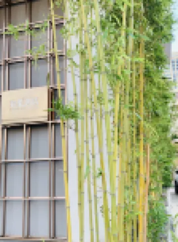 TRUE HOTEL โรงแรมใกล้ภูเขาลั่วถัว