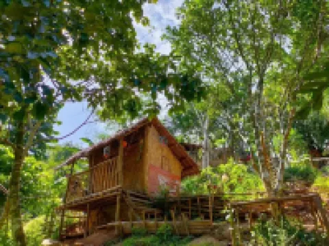 Raw Camping at Camping Paradise Singalong Mountain Garden