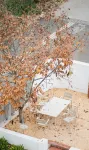 JINLI WEST VALLEY Hotels near Nanxi River Scenic Area