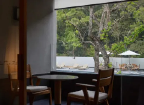 Suyab Mountain Encounter