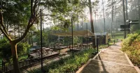 Bobocabin Pacet, Mojokerto Hotel dekat Puncak Gunung Welirang ꦥꦸꦚ꧀ꦕꦏ꧀ꦮꦼꦭꦶꦫꦁ
