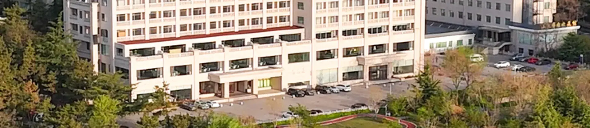 베스트 4성급 호텔
