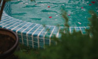 Hot Spring Hotel