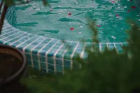 Hot Spring Hotel
