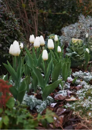banhouse Отели рядом с достопримечательностью «Wanghai Tower»