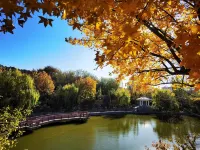 Vienna Sanhao Hotel（Jinan Pingyin No.1 High School Branch） Hotels in Pingyin County