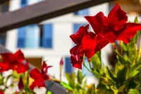 Apart hotel MS Katunjanin