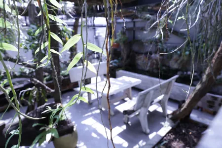 Fide Hotel