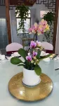 Yunlixiang Homestay