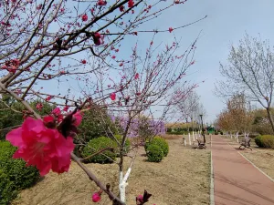 Golden Peacock Hot Spring Garden Hotel