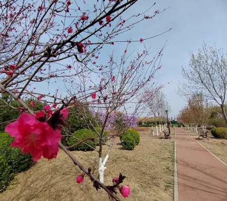 Golden Peacock Hot Spring Garden Hotel