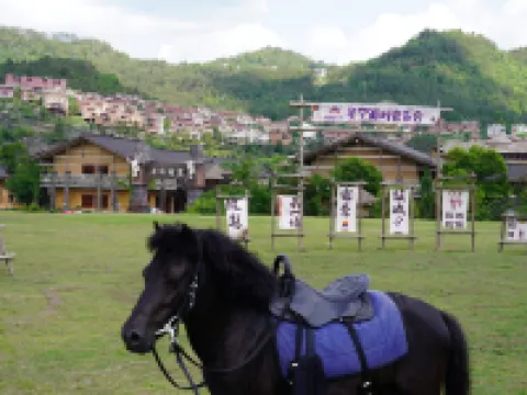 Yao Wang Tian Xia Yao Wangfu Hotel Hotels in Nandan