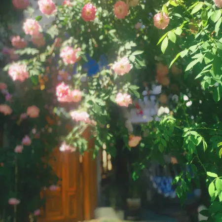 SuErDong Homestay
