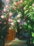 SuErDong Homestay