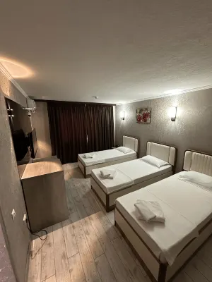 Artist Regency Hotel Hotels in Tashkent